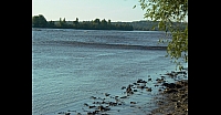 L1010793.JPG